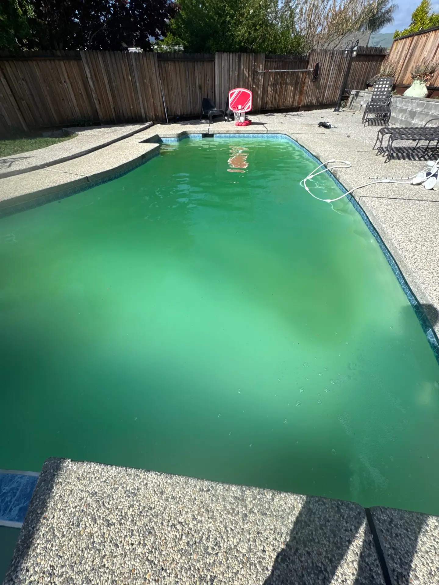Green to Clean Orange, CA | Dream Pools